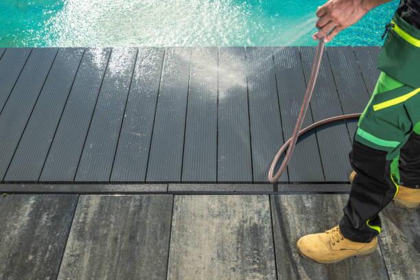Best House Pressure Washing  in Red Bud, IL