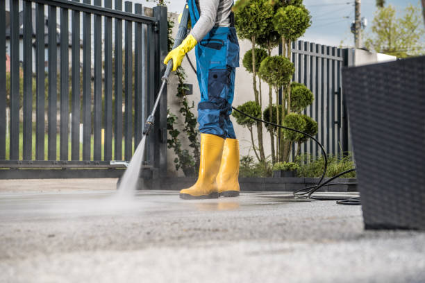 Best Pressure Washing Company Near Me  in Red Bud, IL