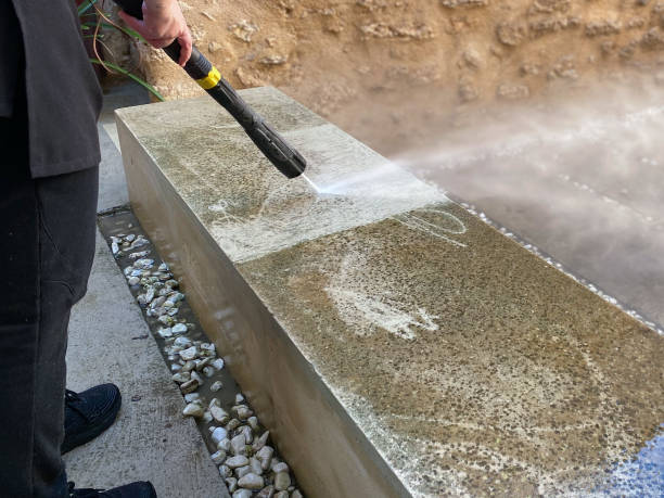 Best Exterior Home Cleaning  in Red Bud, IL
