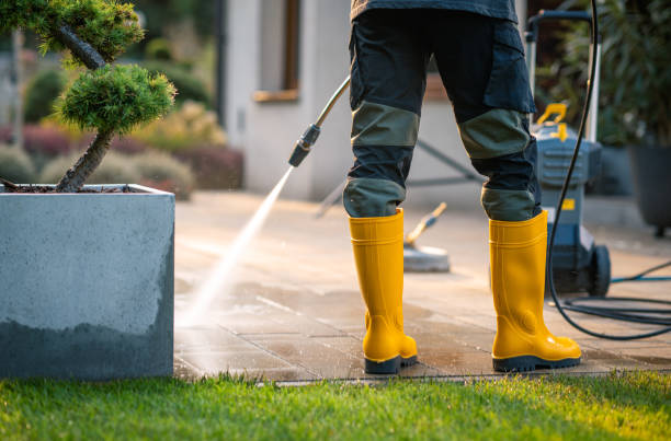 Best Pressure Washing Services Near Me  in Red Bud, IL